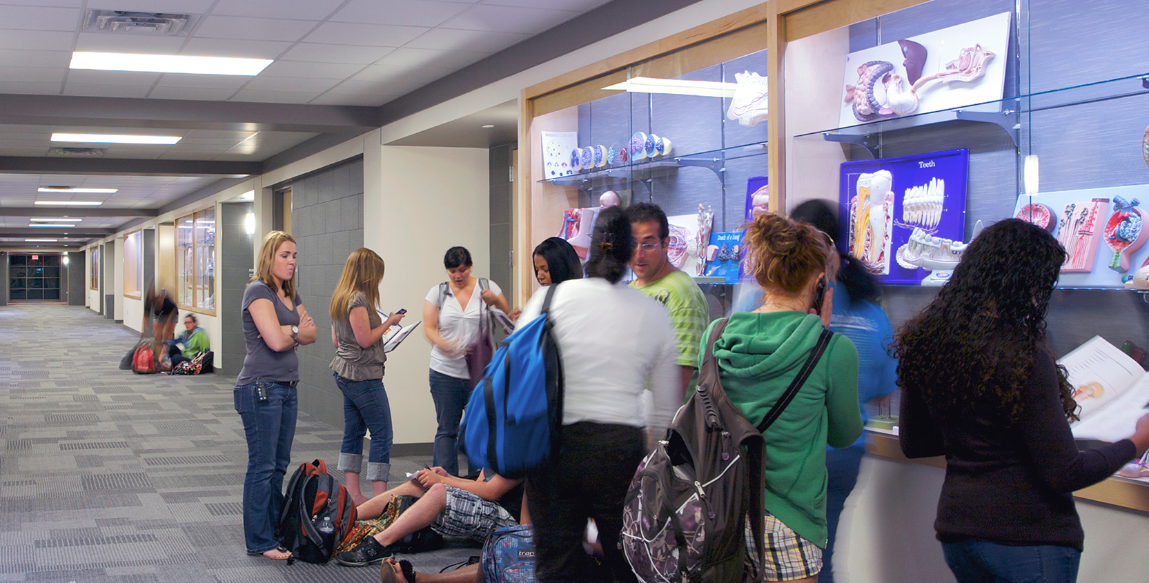 Oakland-Community-College-Science-Bldg-Addition-Hallway-3