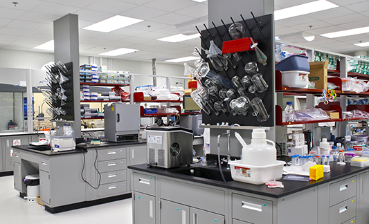 IMRA-Laboratory-3_533x324