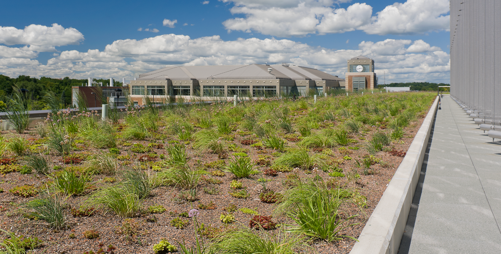 EMU-Mark-Jeff-Green-Roof-1665x845